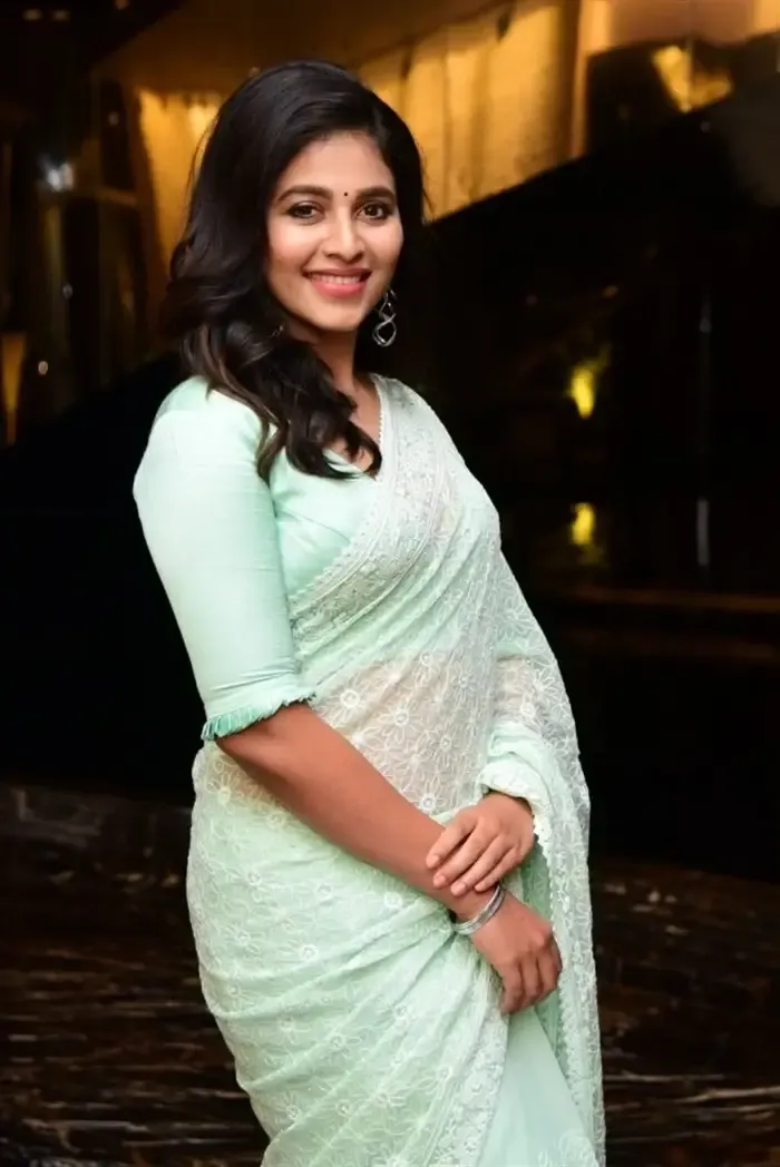 SOUTH INDIAN ACTRESS ANJALI STILLS IN TRADITIONAL LIGHT GREEN SAREE 8